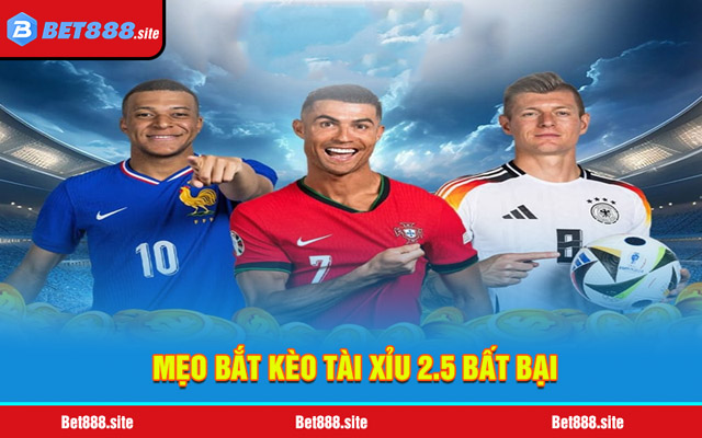 Mẹo bắt kèo tài xỉu 2.5 bất bại từ dân chơi chuyên nghiệp